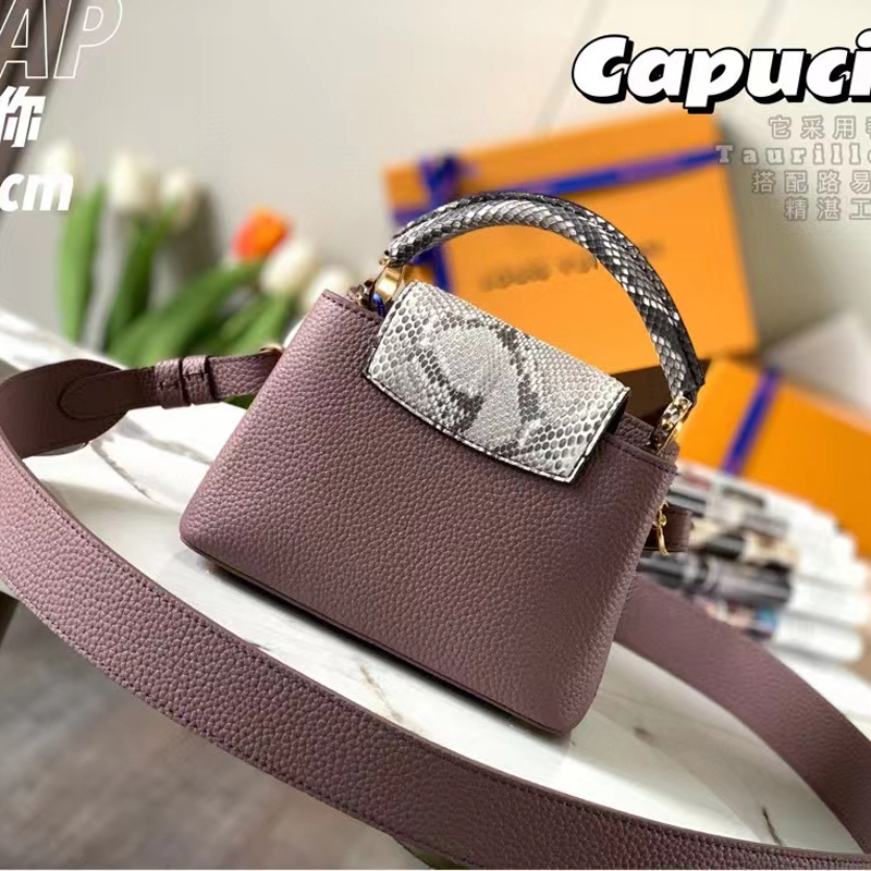 Louis Vuitton CAPUCINES MINI Taurillon Leather Bag N80041 Taupe Gray